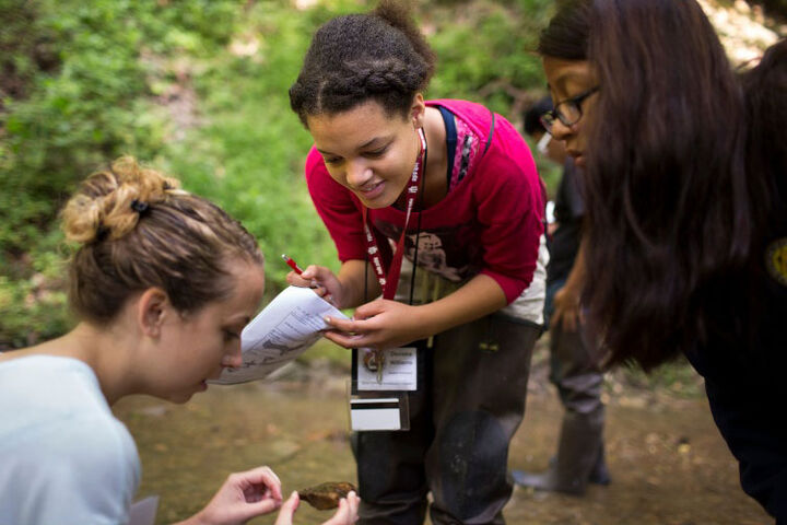 Three students conducting field research outdoors.